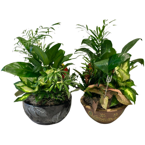 10” Ceramic Plant Dish