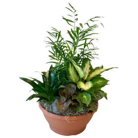10” Plant Mix